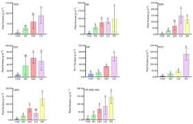 Image result for Polygala melilotoides