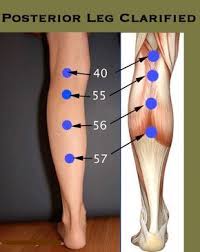 Pin On Acupressure