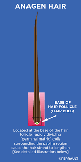 After chemotherapy ends, hair usually grows back on its own. Anagen Effluvium Gl Perrault Md Hair Loss And Hair Restoration