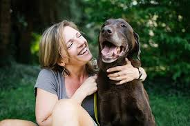 For example, a typical dose for a 30kg labrador would be one 300 mg tablet twice a day with food. Arthritis In Dogs How To Treat And Manage Pain American Kennel Club