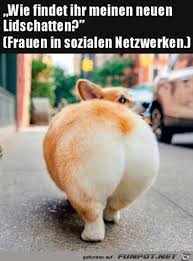 Falls es noch jemanden gibt, der piggeldy und frederick nicht. Wie Findest Du Den Lidschatten