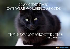 Find, read, and share black cat quotations. Cats Quotes