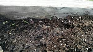 In the garden, ants provide natural pest control and other benefits. How To Treat Ants In Raised Garden Beds Pest Control Chemicals 800 877 7290