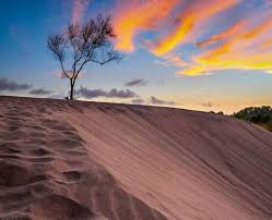 Rekomendasi Wisata Padang Pasir Paling ...