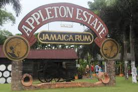 Appleton Estate Rum Tour Jamaica Appleton Estate Appleton Rum