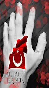 Omer Halis Adli Kullanicinin Turk Olmak Gururdur Panosundaki Pin 2020 Populer Pinler Duvar Kagidi Bayrak