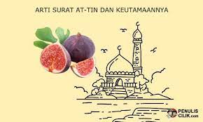Arti Surat At Tin Dan Keutamaannya Penulis Cilik Tulisan Surat Membaca