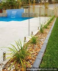 Garden Bedding Running Beside The Pool Fence Pool Plants Swimming Pool Landscaping Pool Landscaping