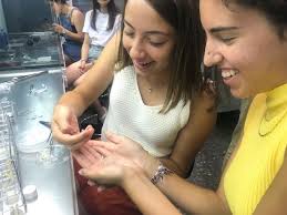 Talleres Campus Vera