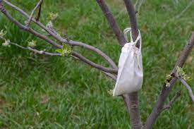 Check spelling or type a new query. Prevent Deer From Eating Fruit Trees Natural Organic Deer Repellent Whole Fed Homestead