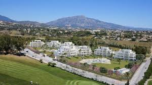 Image result for Atalaya alata