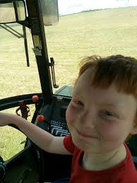 My son's first time running the chisel plow with our '77 4630. Proud dad.