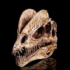 Realistic Dinosaur Skull Dilophosaurus Head Skeleton Aquarium Decor White Dilophosaurus Animal Skulls Skull And Bones