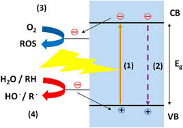 It was first identified in december 2019 in wuhan,. Frontiers Which Are The Main Surface Disinfection Approaches At The Time Of Sars Cov 2 Chemical Engineering