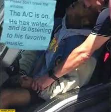 Xxxtentacion Dead In His Car Please Don T Break The Window The A S Is On He Has Water And Is Listening To His Favorite Music Photoshopped Starecat Com
