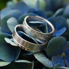 Es igual, se dice cactus. La Rosa O El Cactus Familias