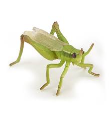 It comes with three phone numbers … Sewing Fiber Grasshopper Craft Supplies Tools
