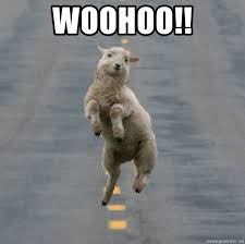 20 Woohoo Memes For When You Re Extremely Happy Sayingimages Com Funny Animals With Captions Happy Animals Animal Captions