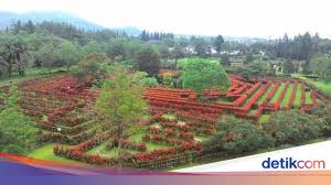 Check spelling or type a new query. Berbunga Bunga Di Taman Bunga Nusantara