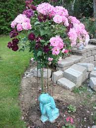 We did not find results for: Rose Trees