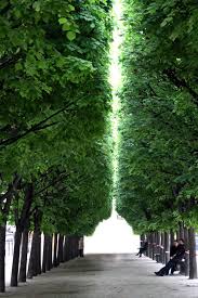 Jardins Du Palais Royal Jardin Du Luxembourg Jardin Du Luxembourg Paris Paysage