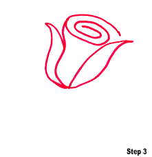 This tutorial is exceptionally inventive in the lines chosen to form the rose. How To Draw A Rose For Kids How To Wiki 89