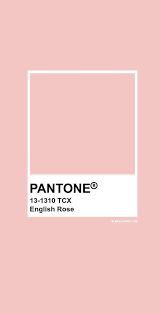 millennial pink vsco wall collage aesthetic picture etsy in 2021 pantone colour palettes palette color warm gray 5c