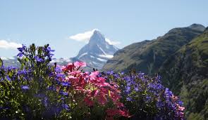 Summer in Zermatt