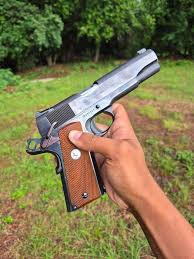 Image result for Orange 1976 Colt