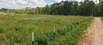 Ndeiya Farm Land
