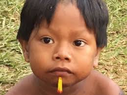 Näheres ist auf der diskussionsseite angegeben. Horstuck Uber Das Leben Am Amazonas Kayapo Archiv