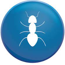 Home pest control costs | diy pest control vs professional pest control. Pro 1 Solutions Your Outer Banks Pest Control Elite Home Services