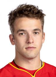 Player photos for the 2019-20 Ferris State University at hockeydb.com