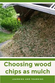 Long before going green was a social responsibility, smith creek understood that good stewardship of the land was both the right thing and the smart thing to do. Using Wood Chips For Mulch What To Use And What To Avoid