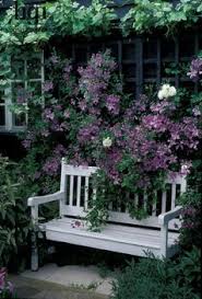 Purple Clematis And White Bench Wow Garden Seating Garden Bench Garden Inspiration