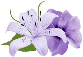 Clipart Flower Purple Deco Flowers Png Clipart Best Web Clipart Flower Clipart Lily Flower Flower Illustration