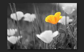 Colorize black and white with realism in photoshop. Combine Black And White With Color In A Photo Adobe Photoshop Tutorials