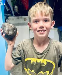 What are the amazing micro pics he finds and mounts?