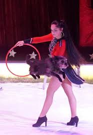 „circus barus verbindet tradition und moderne. Der Circus Barus Ist In Der Stadt Marktheidenfeld Live