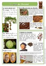 Au Pays Des Indiens Des Cow Boys Du Chocolat Des Pirates Food Vegetables Cacao