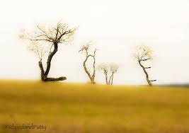 Trees Spell Love Whimsical Surreal Gothic Art By Richardandpatty 15 00 Nice Gift For Any Time Of Ye Fine Art Photography Print Photography Print 5x7 Print