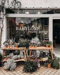 Under blue skies, outdoor dining returns to london. 92 Plant Shop Ideas Plants Garden Shop Indoor Plants