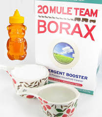 Check spelling or type a new query. Borax Ant Killers Testing 5 Different Natural Ant Killers Against Terro
