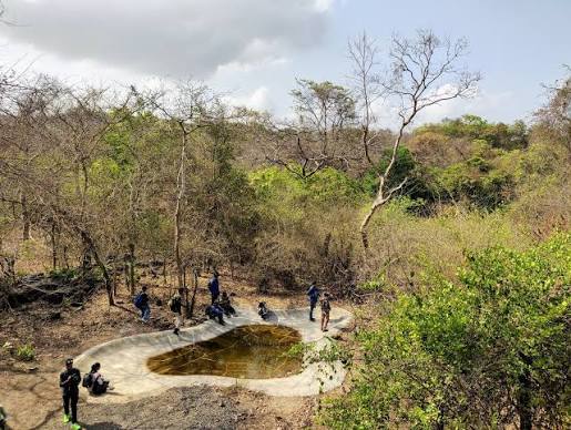 Sanjay Gandhi National Park | Timings, History & Visitor Guide