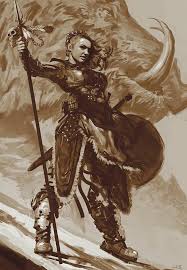 You will love how this turns out. Valkyrie Shield Maiden Novocom Top