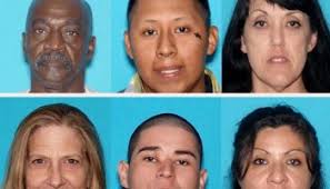 Eight arrested in north county gang sweep
