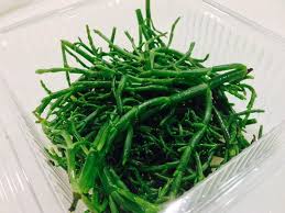 Pesto di tonno con pistacchio 210g. Asparagi Di Mare Picture Of Pescheria Ittica Brianza Cesana Brianza Tripadvisor