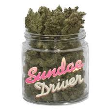 We did not find results for: Buy Sunday Driver Strain Real Weed Dispensary