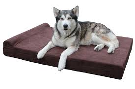 pin on dog beds