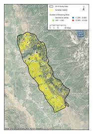 Check spelling or type a new query. 2018 Tricolored Blackbird Breeding Survey Study Area And Colony Download Scientific Diagram